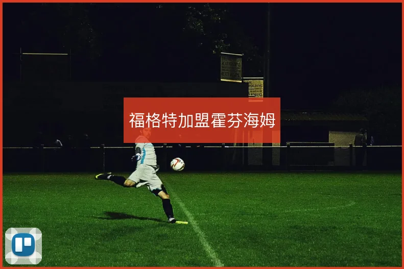福格特加盟霍芬海姆
